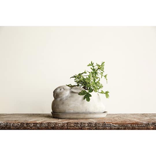 Hello Honey® 5" Cement Rabbit Planter with Saucer